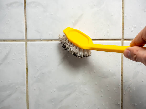 Office Mold Removal Services in West Lake Hills, TX
