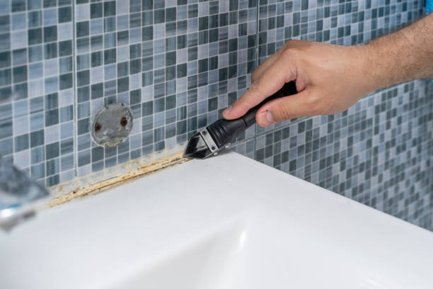 Best Black Mold Removal  in West Lake Hills, TX