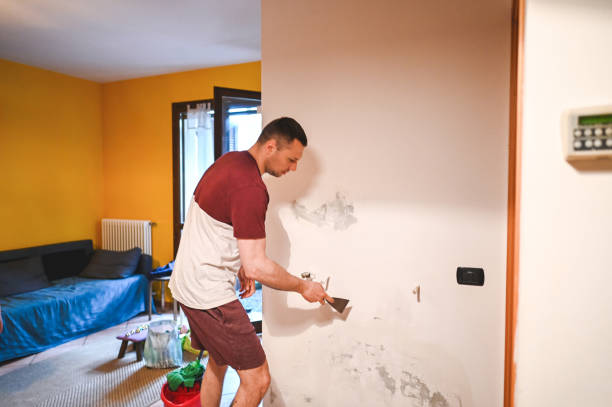 Best Toxic Mold Removal  in West Lake Hills, TX