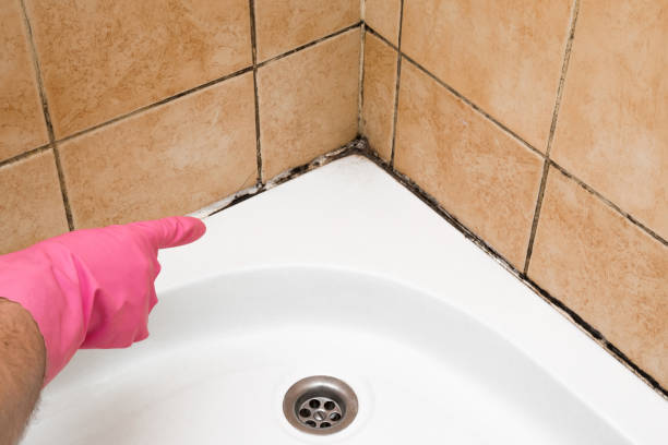 Mold Testing and Removal in West Lake Hills, TX